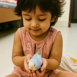 বাজরিগার (জোড়া) - টেম ছাড়া